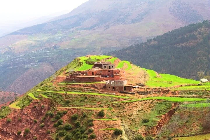 Atlas Mountains full-Day Trip from Marrakech & Camel Ride and Lunch with locals