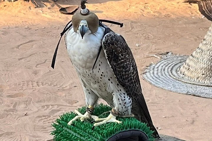 Authentic Old Dubai Pathways, Souks, Abra Baot & Local Guide Tour