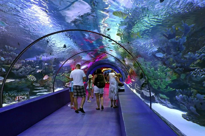 Belek: Antalya Aquarium Ticket With Optional Transfer