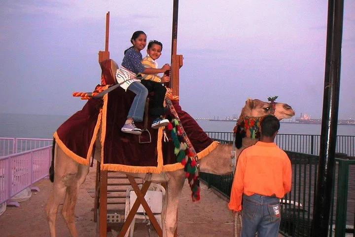 Camel Ride in Desert with Dune Bashing, BBQ Dinner and Belly Dance