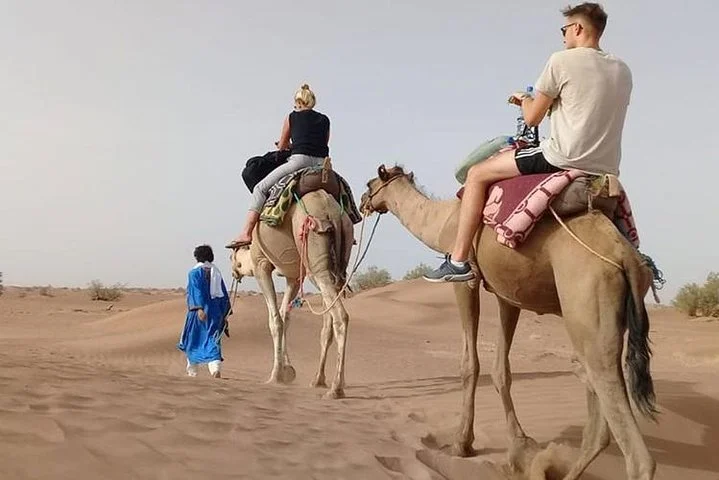 Camel Ride in Desert with Dune Bashing, BBQ Dinner and Belly Dance