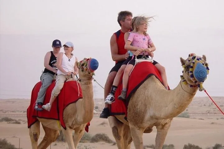 Camel Ride in Desert with Dune Bashing, BBQ Dinner and Belly Dance