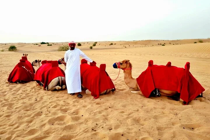 Camel Ride Safari in Red Dunes