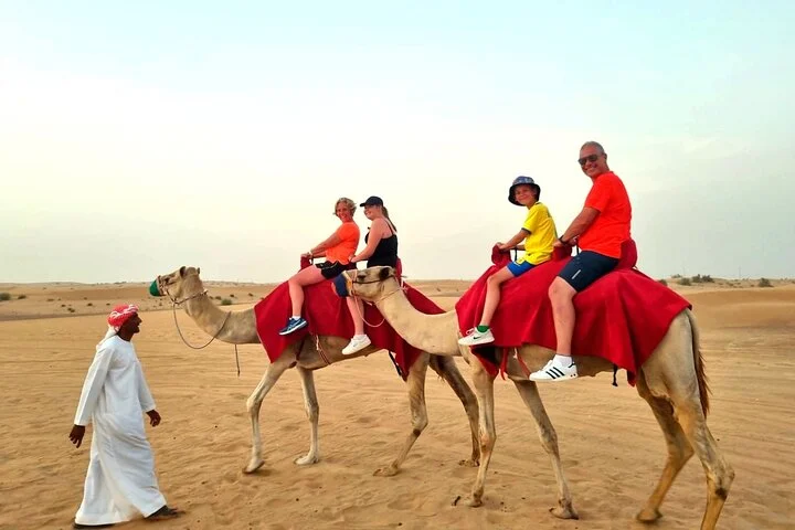 Camel Ride Safari in Red Dunes