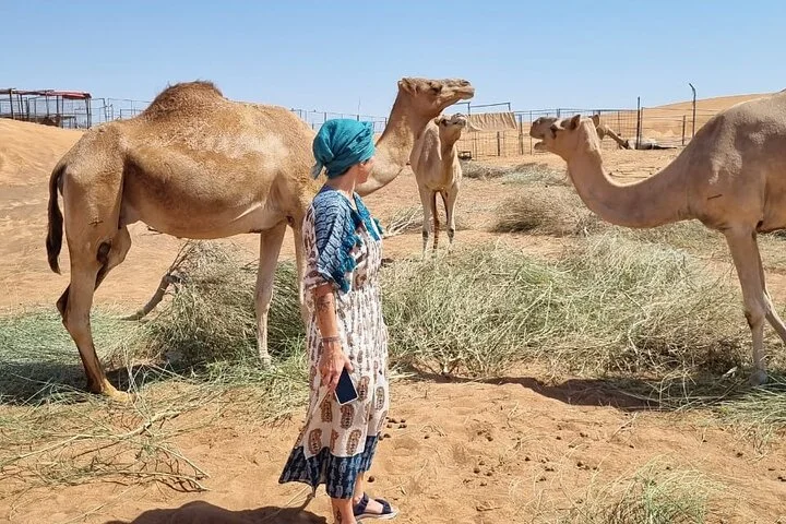 Camel Ride Safari in Red Dunes