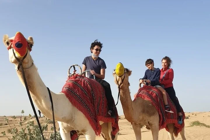 Camel Ride with Sand Boarding at Red Dunes