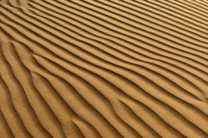 Camel Ride with Sand Boarding at Red Dunes