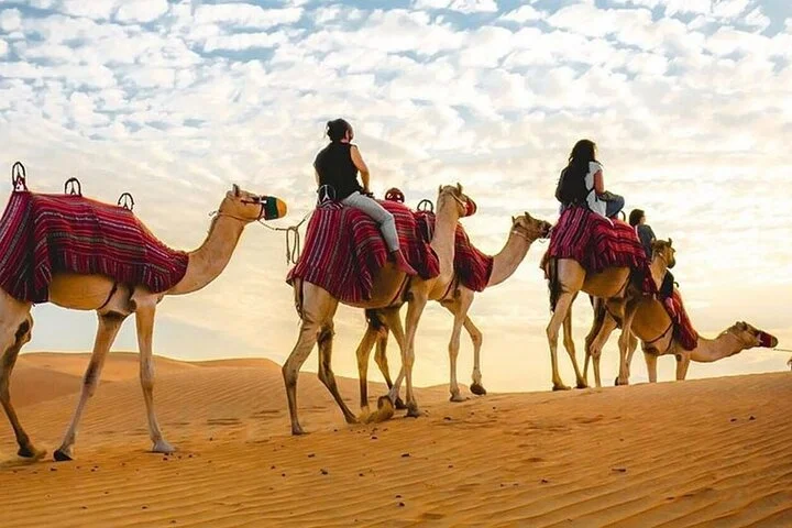 Can-Am Buggy Lahbab: 30/60 Min Camel Ride Sandboard Falcon Photo