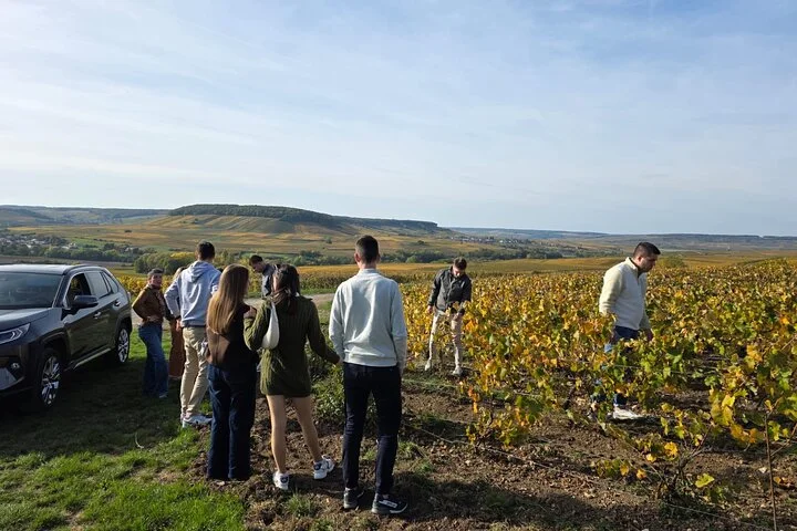 Champagne Munoz Bruneau : Half Day Visit and Tasting