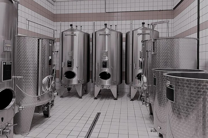 Champagne Munoz Bruneau : Half Day Visit and Tasting