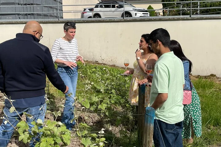 Champagne Munoz Bruneau : Half Day Visit and Tasting
