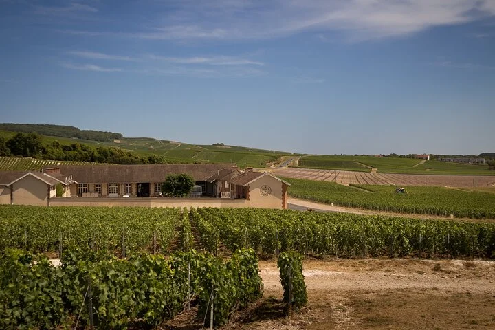 Champagne Tasting Tour Day Trip From Paris