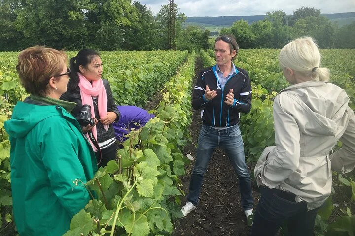 Champagne Tasting Tour Day Trip From Paris