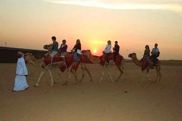 Desert Experience with BBQ Dinner and Entertainment