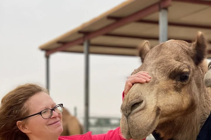 Desert Private Dinner