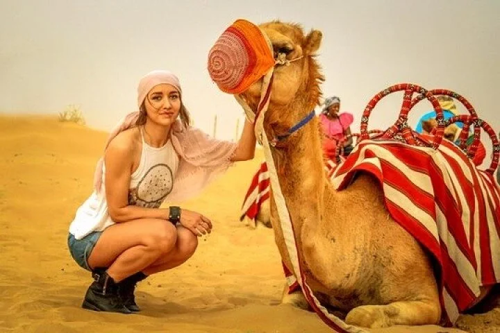 Desert Safari 4x4 Dunes, Camel Riding, BBQ & Live Shows