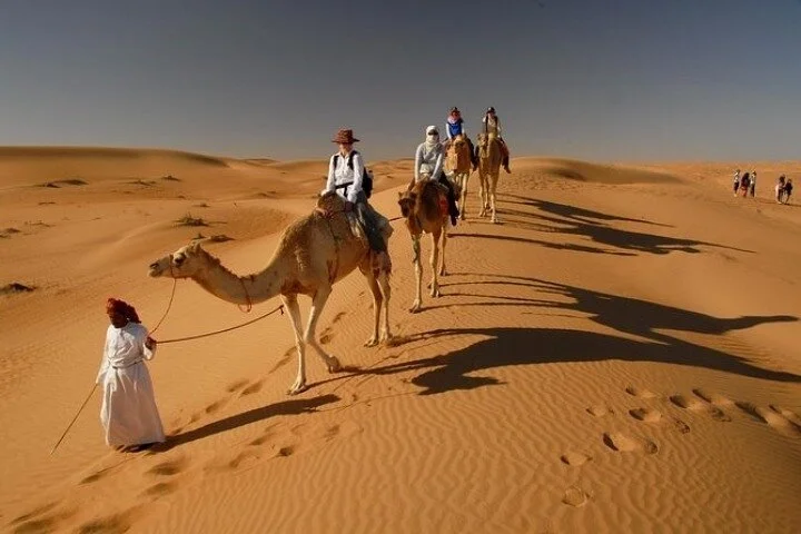 Desert Safari 4x4 Dunes, Camel Riding, BBQ & Live Shows
