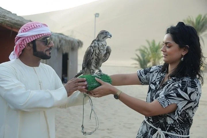 Desert Safari 4x4 Dunes, Camel Riding, BBQ & Live Shows