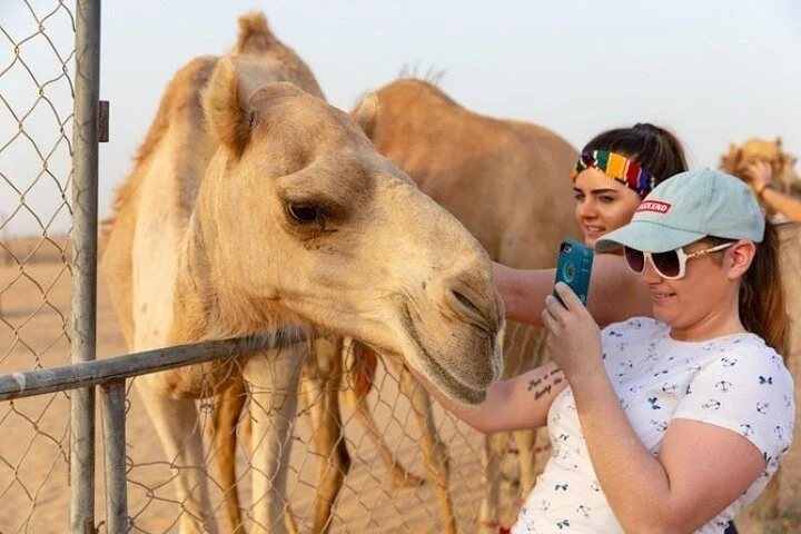 Desert Safari 4x4 Dunes, Camel Riding, BBQ & Live Shows