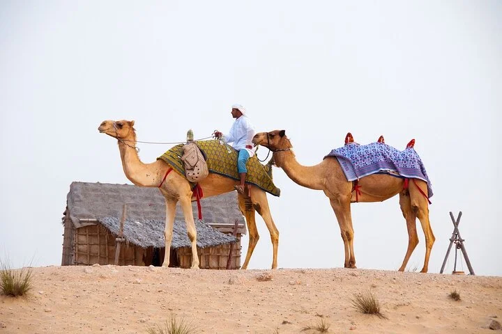 Desert Safari Adventure in Dubai
