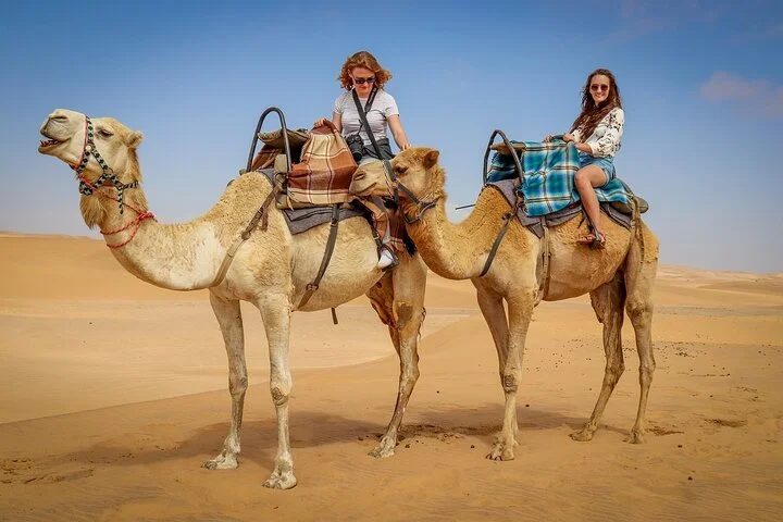 Desert Safari Adventure in Dubai