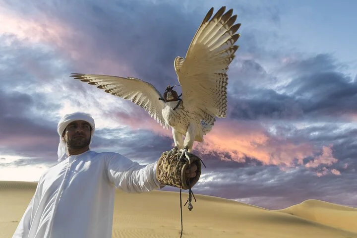 Desert Safari Dubai - Dune Bash, Camel Ride, Shows & BBQ Dinner