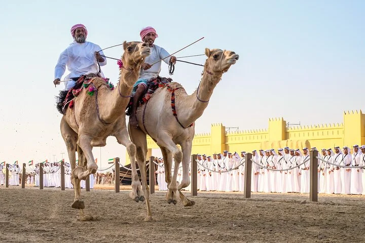 Desert Safari Dubai - Dune Bash, Camel Ride, Shows & BBQ Dinner