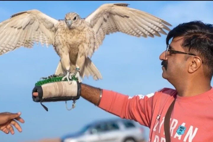 Desert Safari Dubai with Dune Bashing & Buffet Dinner