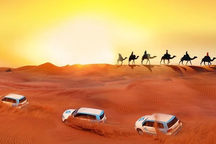 Desert Safari Full-Day Tour in Dubai
