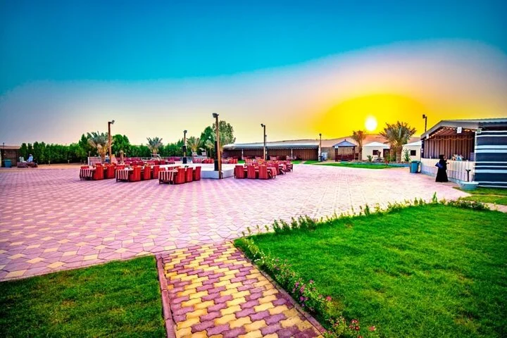 Desert Safari in 4x4 Car with BBQ Dinner and Belly Dance