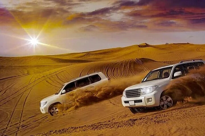 Desert Safari in 4x4 Shared Vehicle VIP Experience