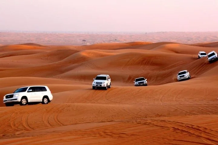 Desert Safari in 4x4 Shared Vehicle VIP Experience