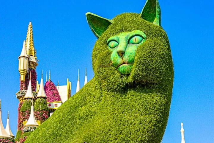 Desert Safari + Miracle Garde+Global Village (Trio Package)