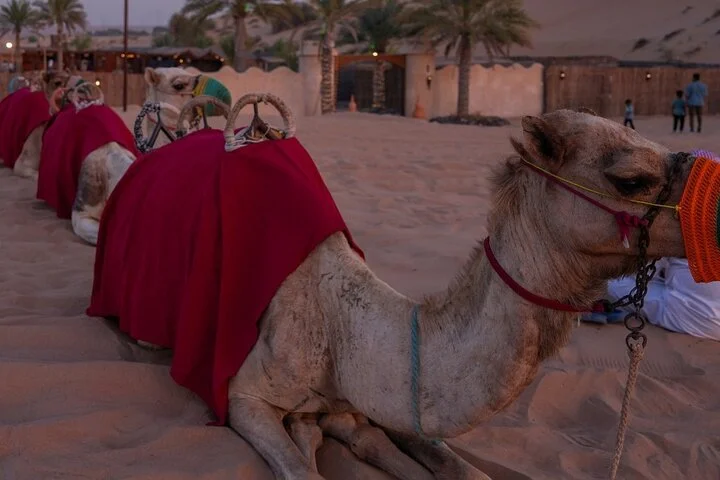Desert Safari, Quad Biking (30 mins) & VIP BBQ Dinner Experience