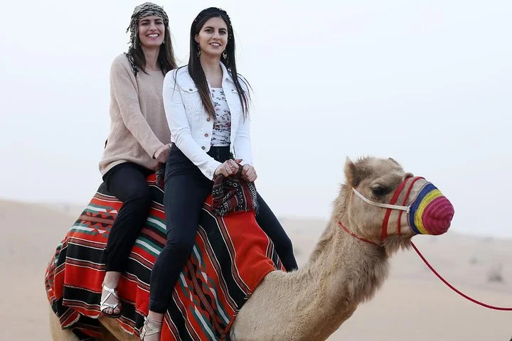 Dinner in The Desert Private Basis - Without Dubai Dune Bashing