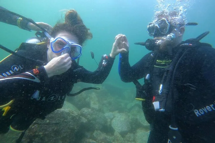 Discover Scuba Diving in Fujirah Dibba