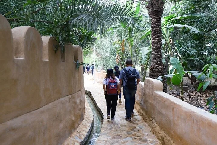 Dubai: 4-Hour Adventure Trip in Hatta