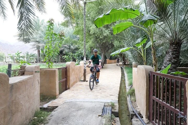 Dubai: 4-Hour Adventure Trip in Hatta