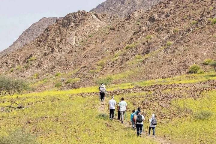 Dubai: 4-Hour Adventure Trip in Hatta