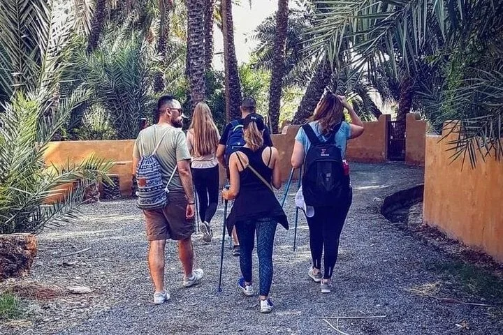 Dubai: 4-Hour Adventure Trip in Hatta