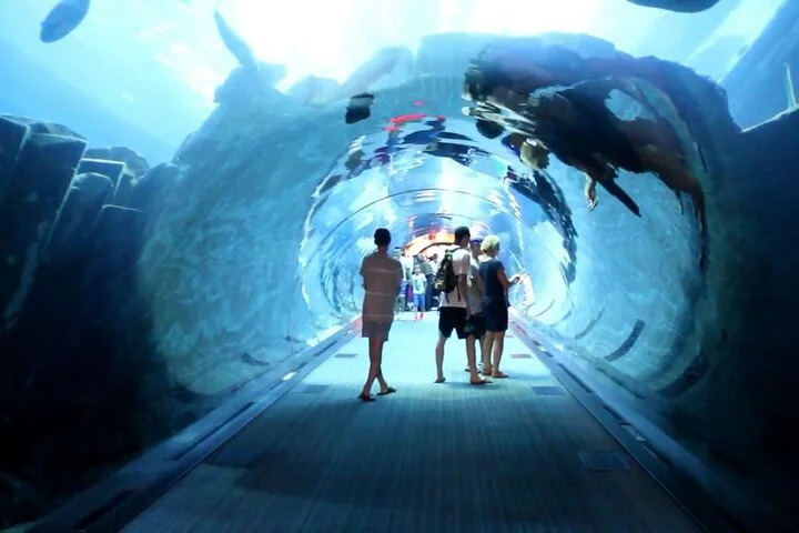 Dubai Aquarium & Underwater Zoo - Basic