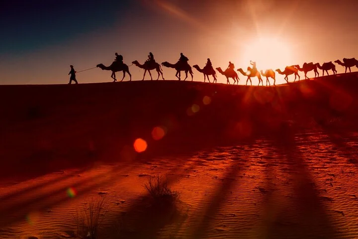 Dubai: Arabian Nights Red Dunes 4x4 Pick /Drop Camel Dinner Shows