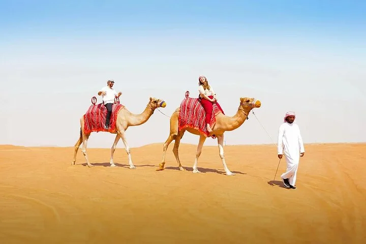 Dubai: Buggy Dune Bashing, Sand Boarding, Camel Ride & Show