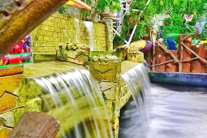 Dubai Butterfly Garden