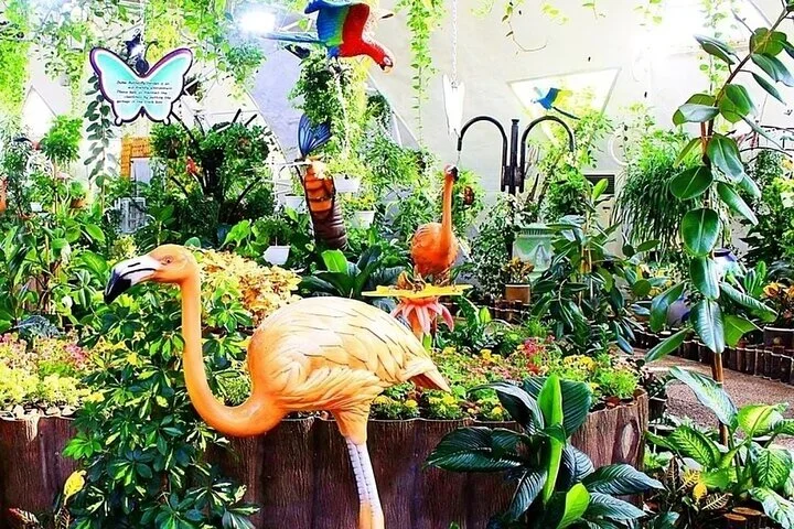 Dubai Butterfly Garden (Escape into nature)