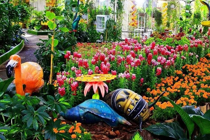 Dubai Butterfly Garden (Escape into nature)