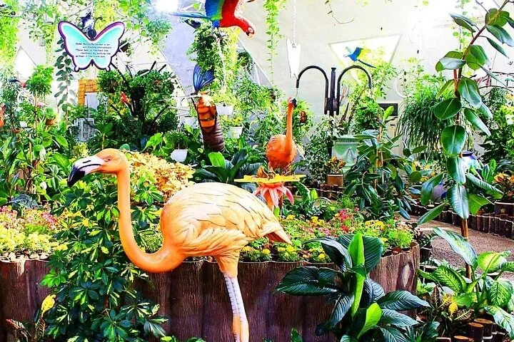 Dubai Butterfly Garden (Escape into nature)