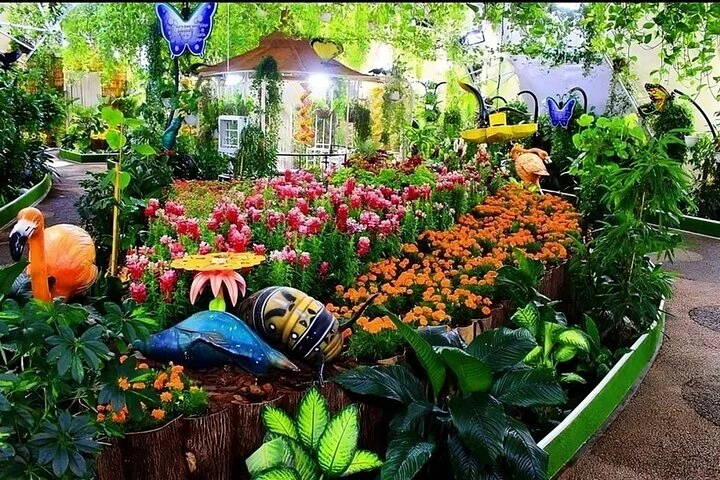 Dubai Butterfly Garden (Escape into nature)