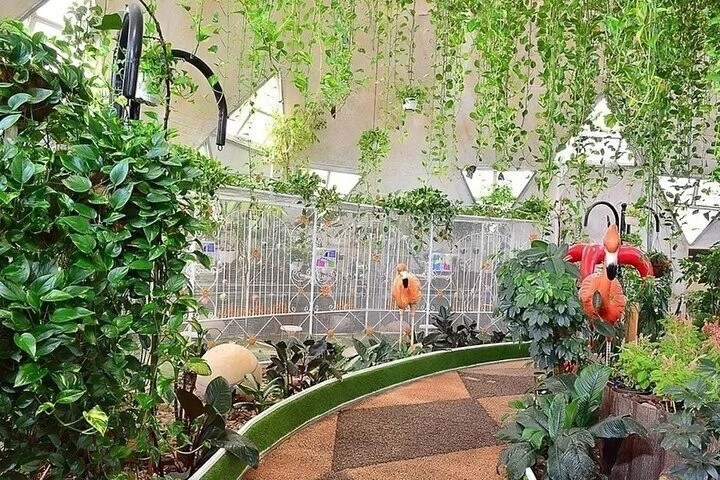 Dubai Butterfly Garden (Escape into nature)