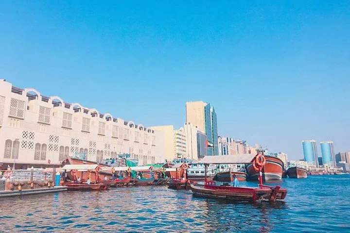 Dubai by Night: Private City Tour with Dubai Fountain Show